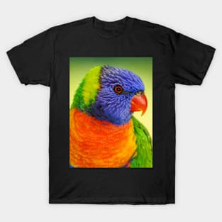 Rainbow Lorikeet T-Shirt